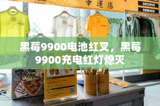 黑莓9900电池红叉，黑莓9900充电红灯熄灭