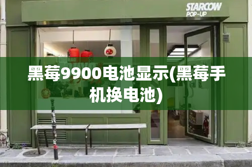 黑莓9900电池显示(黑莓手机换电池)-第1张图片-星选测评