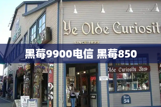 黑莓9900电信 黑莓850