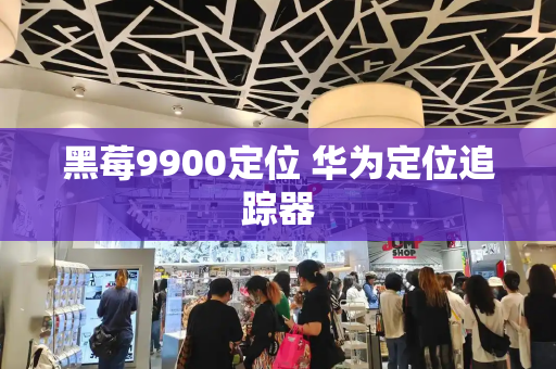 黑莓9900定位 华为定位追踪器-第1张图片-星选测评
