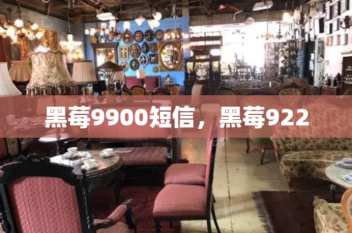 黑莓9900短信，黑莓9220