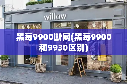 黑莓9900断网(黑莓9900和9930区别)