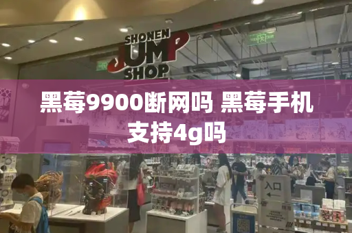 黑莓9900断网吗 黑莓手机支持4g吗-第1张图片-星选测评