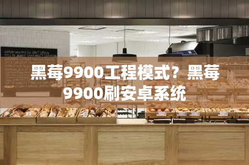 黑莓9900工程模式？黑莓9900刷安卓系统