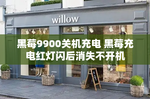 黑莓9900关机充电 黑莓充电红灯闪后消失不开机