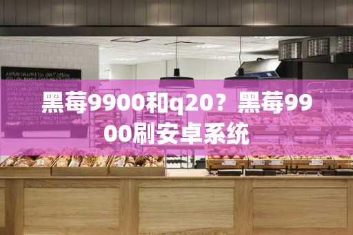 黑莓9900和q20？黑莓9900刷安卓系统-第1张图片-星选测评