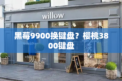 黑莓9900换键盘？樱桃3800键盘