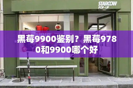 黑莓9900鉴别？黑莓9780和9900哪个好
