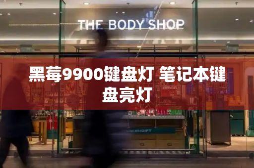 黑莓9900键盘灯 笔记本键盘亮灯