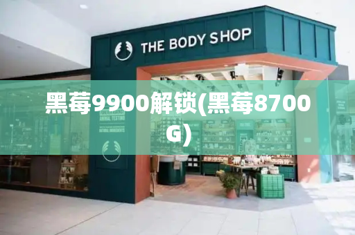 黑莓9900解锁(黑莓8700G)