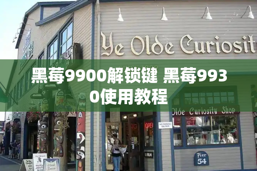 黑莓9900解锁键 黑莓9930使用教程