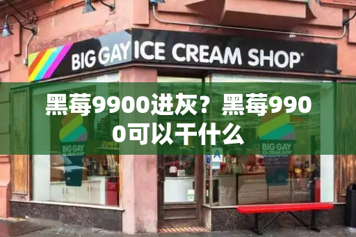 黑莓9900进灰？黑莓9900可以干什么-第1张图片-星选测评