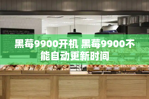 黑莓9900开机 黑莓9900不能自动更新时间-第1张图片-星选测评