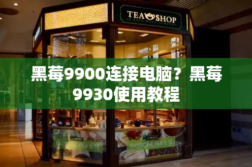 黑莓9900连接电脑？黑莓9930使用教程