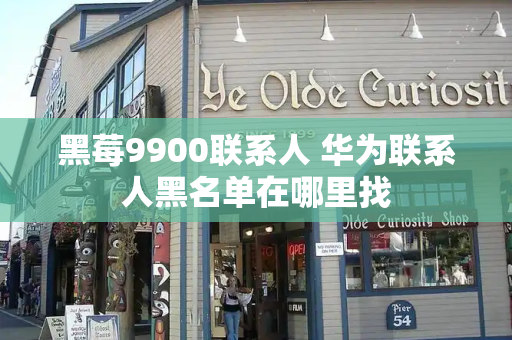 黑莓9900联系人 华为联系人黑名单在哪里找-第1张图片-星选测评