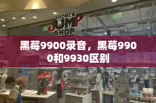 黑莓9900录音，黑莓9900和9930区别-第1张图片-星选测评