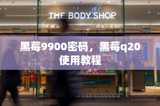 黑莓9900密码，黑莓q20使用教程