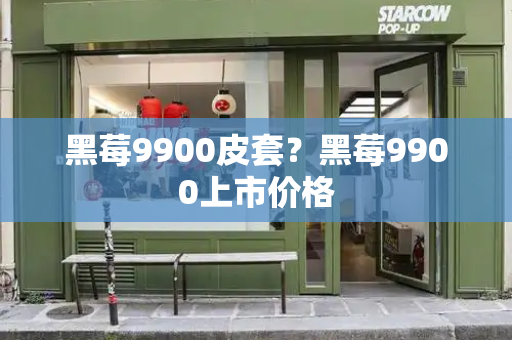 黑莓9900皮套？黑莓9900上市价格