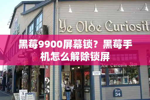 黑莓9900屏幕锁？黑莓手机怎么解除锁屏-第1张图片-星选测评