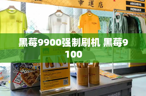 黑莓9900强制刷机 黑莓9100-第1张图片-星选测评