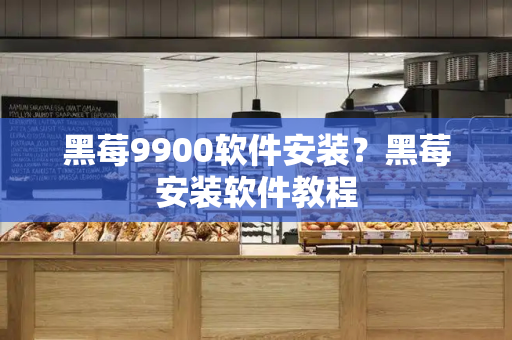 黑莓9900软件安装？黑莓安装软件教程-第1张图片-星选测评