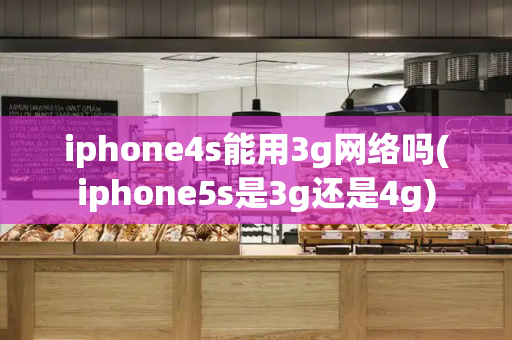 iphone4s能用3g网络吗(iphone5s是3g还是4g)-第1张图片-星选测评
