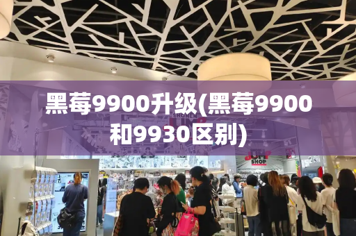 黑莓9900升级(黑莓9900和9930区别)-第1张图片-星选测评