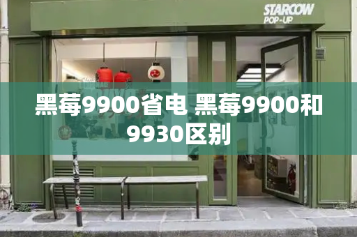 黑莓9900省电 黑莓9900和9930区别-第1张图片-星选测评