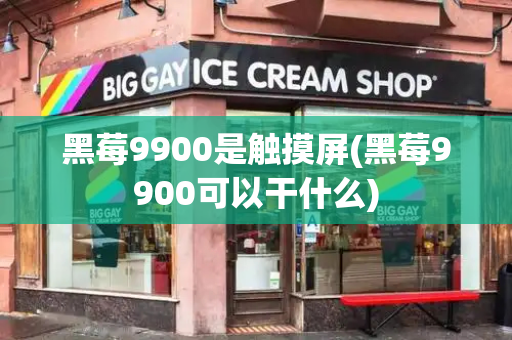 黑莓9900是触摸屏(黑莓9900可以干什么)