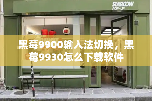 黑莓9900输入法切换，黑莓9930怎么下载软件