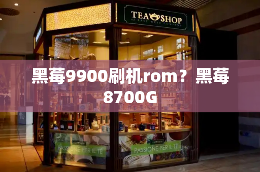 黑莓9900刷机rom？黑莓8700G-第1张图片-星选测评