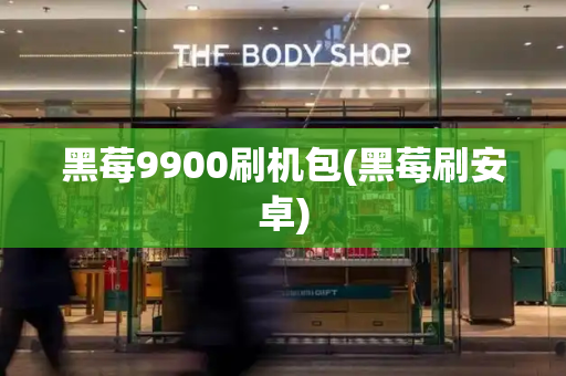 黑莓9900刷机包(黑莓刷安卓)-第1张图片-星选测评