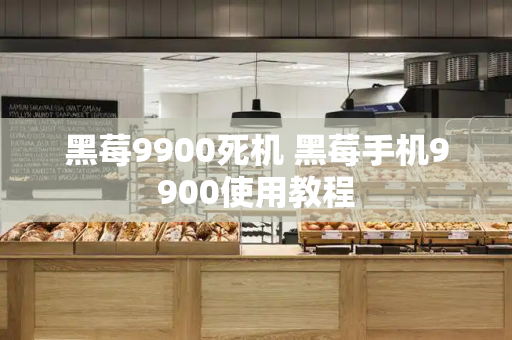 黑莓9900死机 黑莓手机9900使用教程
