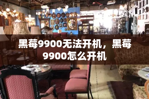 黑莓9900无法开机，黑莓9900怎么开机-第1张图片-星选测评