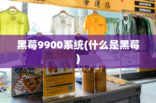黑莓9900系统(什么是黑莓)