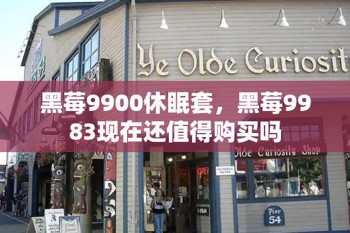 黑莓9900休眠套，黑莓9983现在还值得购买吗-第1张图片-星选测评