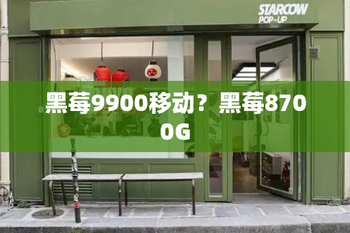 黑莓9900移动？黑莓8700G