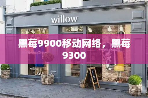 黑莓9900移动网络，黑莓9300-第1张图片-星选测评