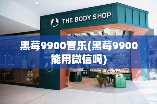 黑莓9900音乐(黑莓9900能用微信吗)