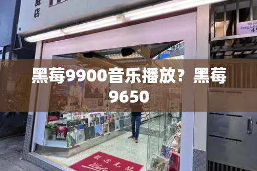 黑莓9900音乐播放？黑莓9650-第1张图片-星选测评