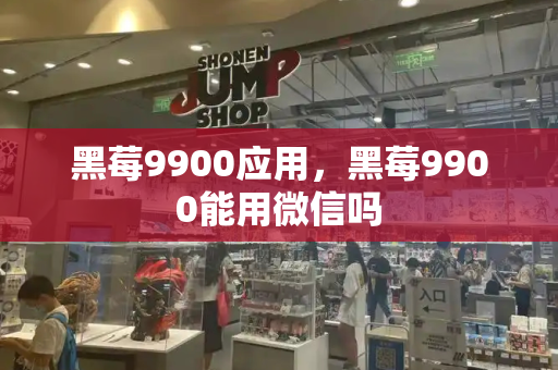 黑莓9900应用，黑莓9900能用微信吗
