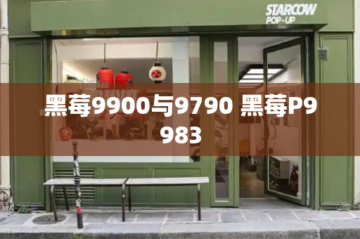 黑莓9900与9790 黑莓P9983-第1张图片-星选测评
