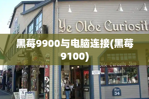 黑莓9900与电脑连接(黑莓9100)-第1张图片-星选测评