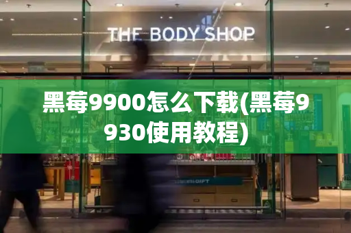 黑莓9900怎么下载(黑莓9930使用教程)