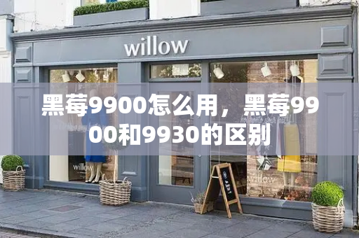 黑莓9900怎么用，黑莓9900和9930的区别-第1张图片-星选测评