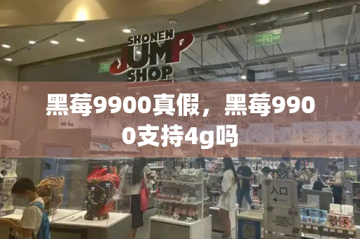 黑莓9900真假，黑莓9900支持4g吗
