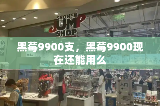 黑莓9900支，黑莓9900现在还能用么-第1张图片-星选测评