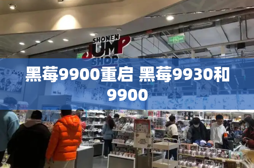 黑莓9900重启 黑莓9930和9900-第1张图片-星选测评