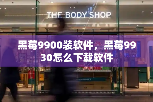 黑莓9900装软件，黑莓9930怎么下载软件
