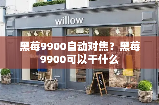 黑莓9900自动对焦？黑莓9900可以干什么